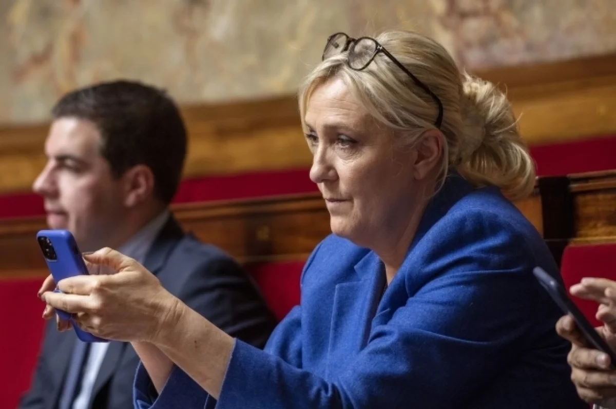 Партия Марин Ле Пен получит от 240 до 270 мест в парламенте Франции