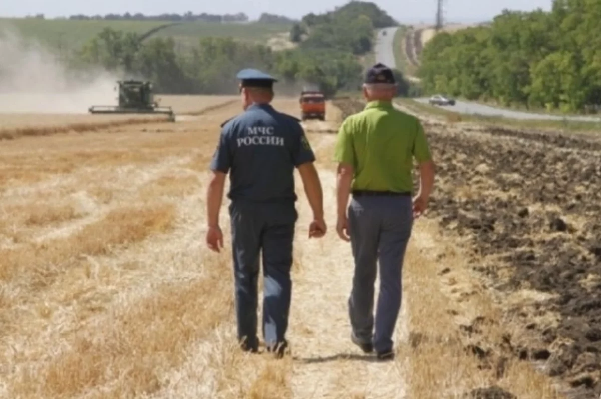 На Дону пожары на полях уничтожили 100 га пшеницы
