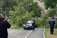 В Оренбурге сильный ветер повалил деревья