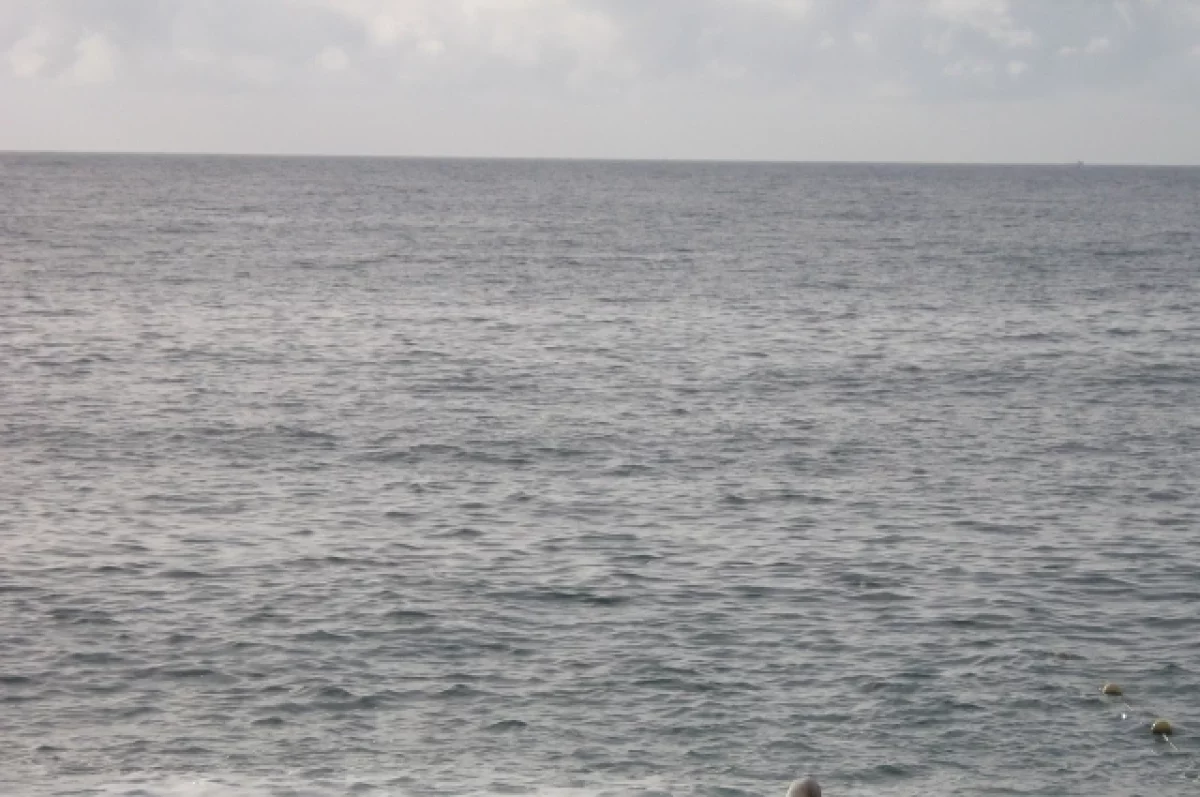 Жительница Приморья нашла баночку с посланием на берегу Японского моря