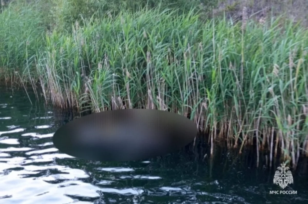 В Брянске в озере Баллон утонул мужчина
