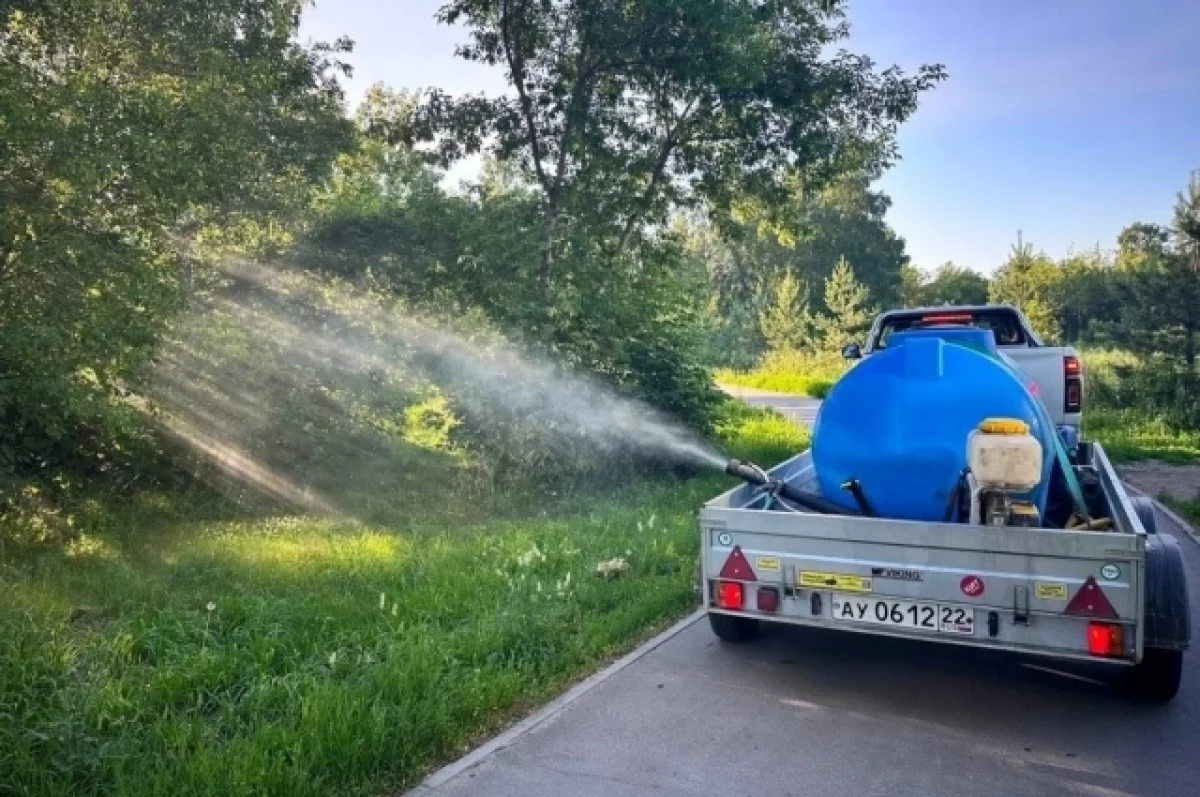 В Барнауле продолжают уничтожать комаров