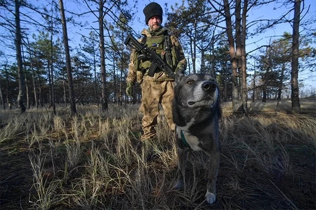 Военнослужащий казачьего батальона «Терек» и его собака на боевой позиции в районе Кинбурнской косы.