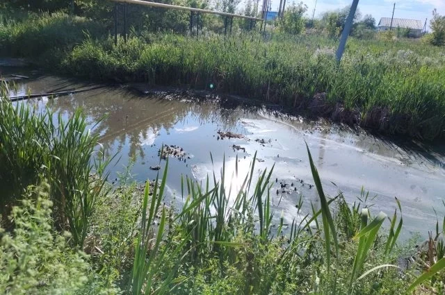 Фекальное болото в селе Батырево.