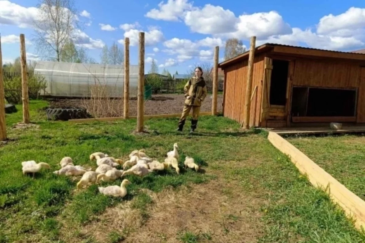 Тюменская школьница выиграла 100 тысяч рублей на бизнес по разведению гусей  | АиФ Тюмень