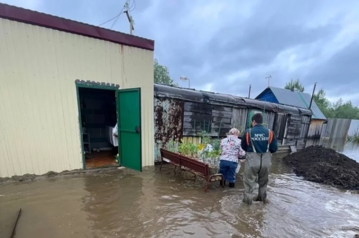 В Березовском районе за сутки вода ушла от всех приусадебных участков | АиФ  Югра