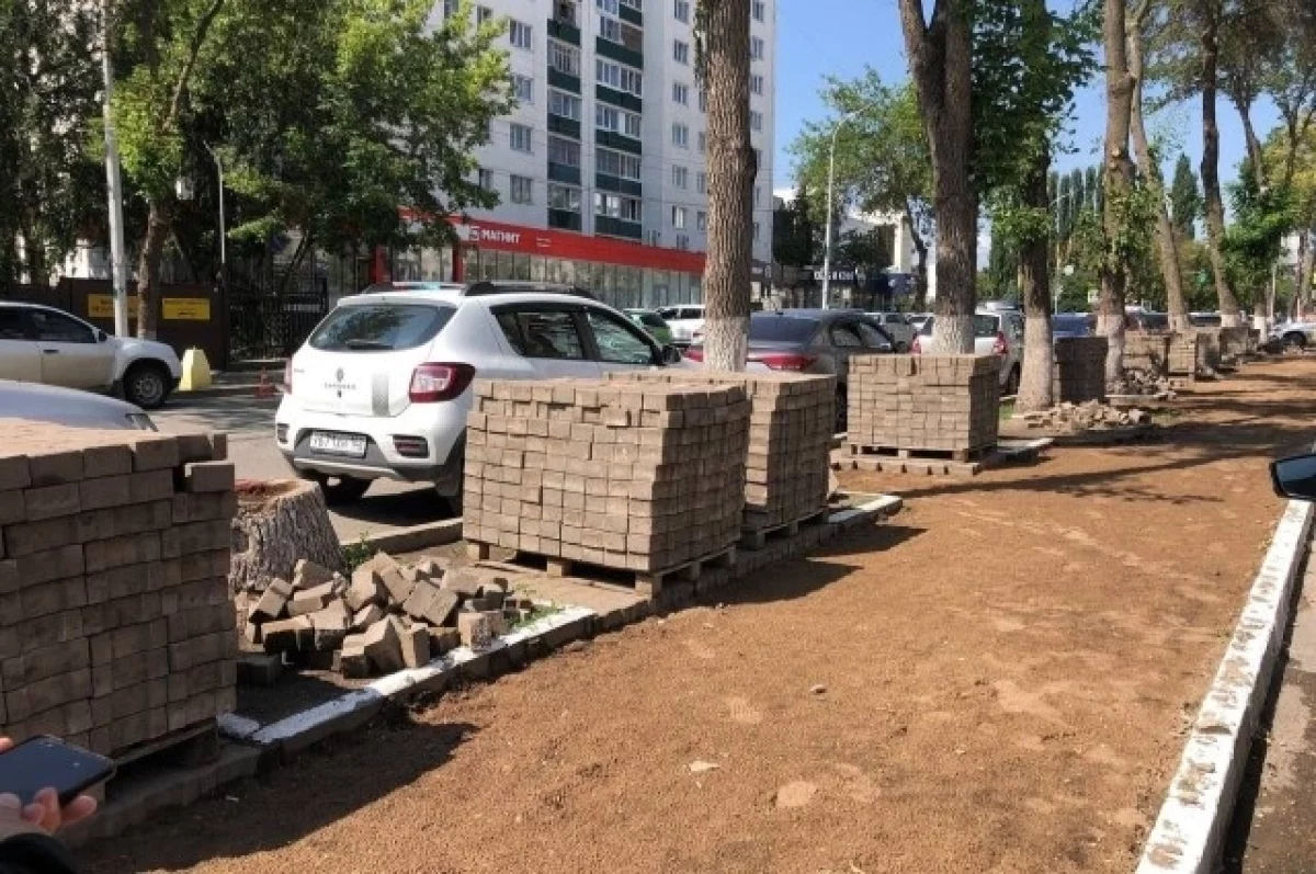 В центре Уфы вырубят аварийные деревья | АиФ Уфа