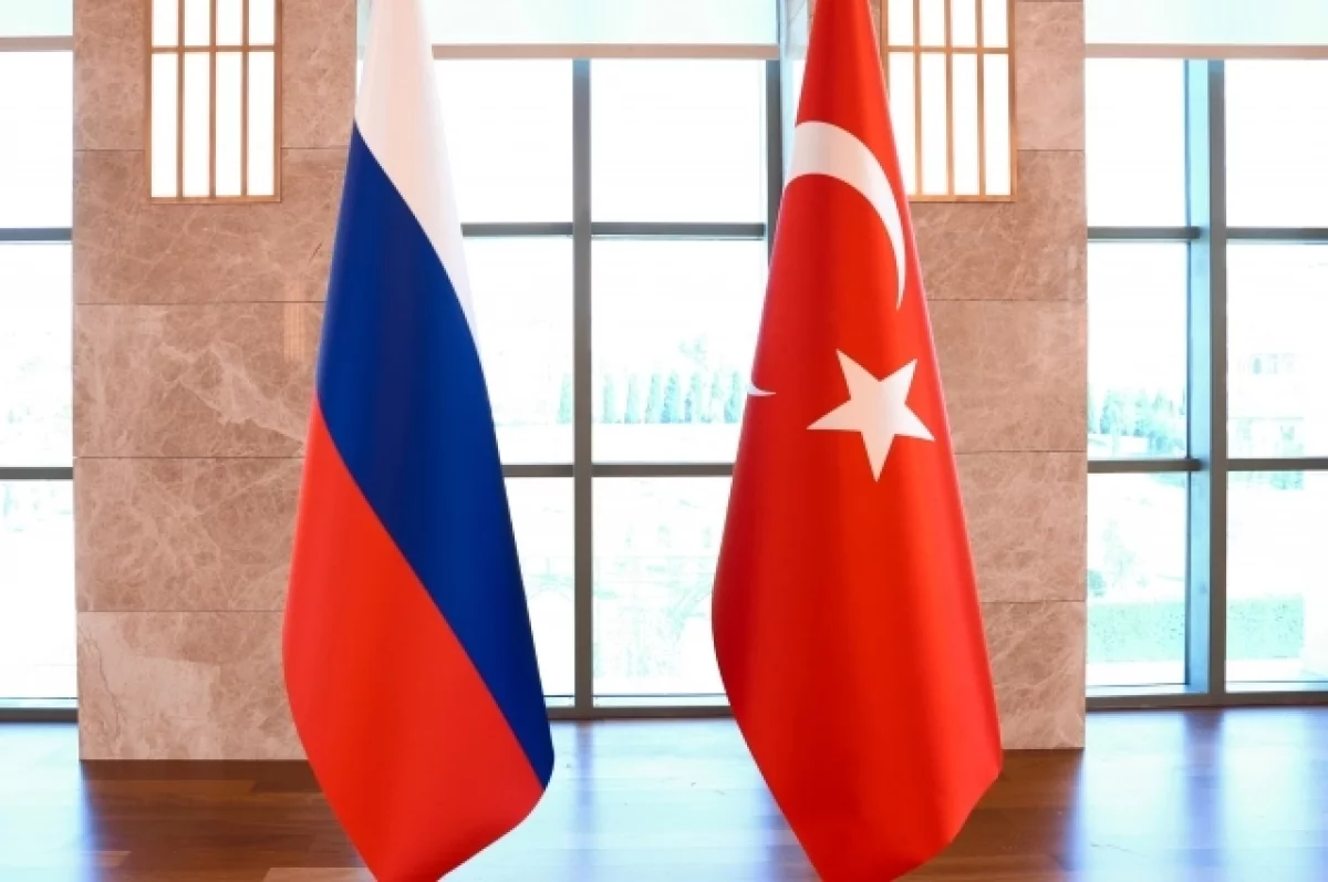 Турецкий политолог Хас: Турция и Россия нужны друг другу