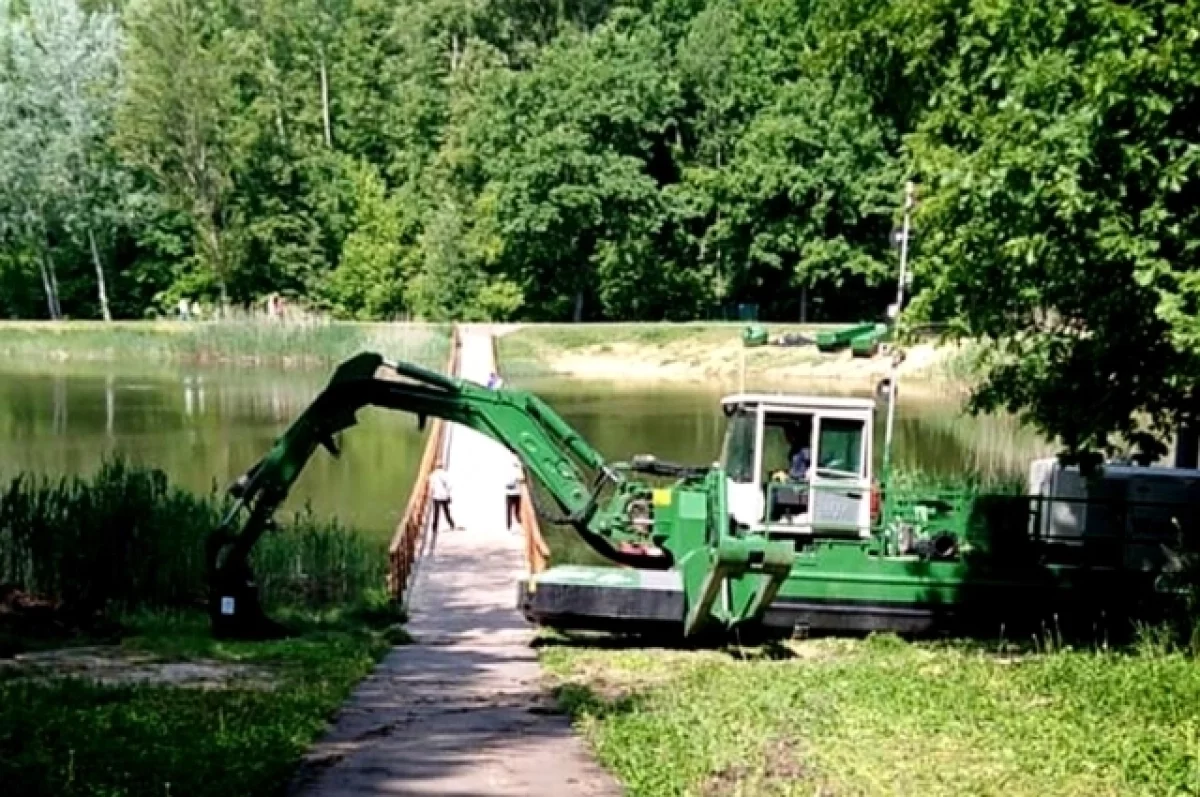 Без тины и ила. Как на Белгородчине идёт очистка водоёмов? | АиФ Белгород