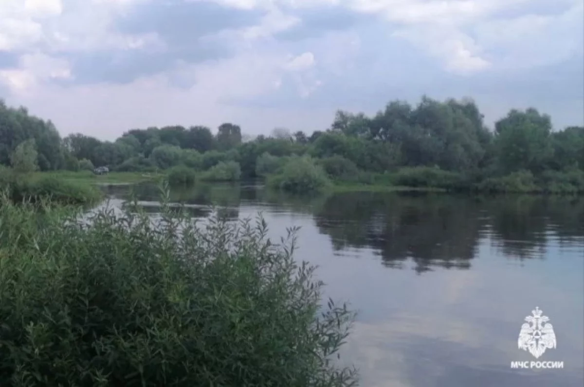 В реке Ипуть в брянском селе Ущерпье утонул 71-летний мужчина