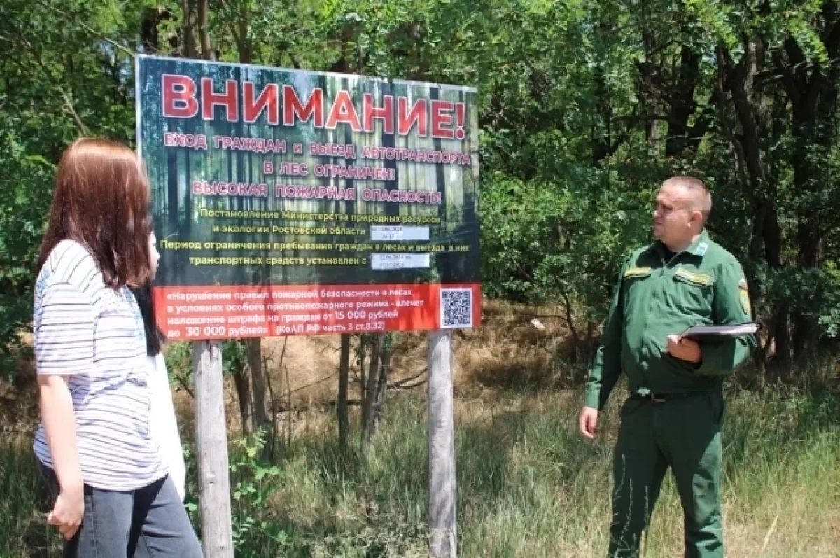 В Ростовской области запретили въезжать в лесные массивы на машинах