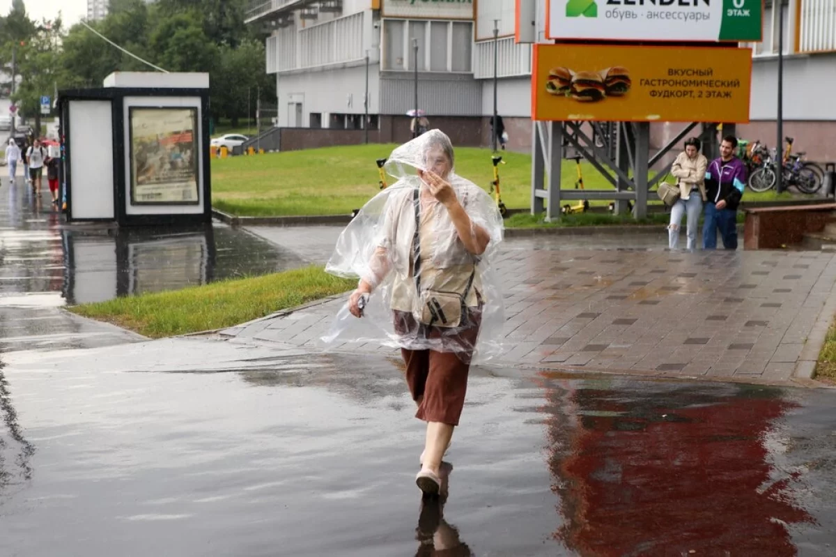 Синоптик Ильин спрогнозировал грозовые дожди и град в выходные в Москве