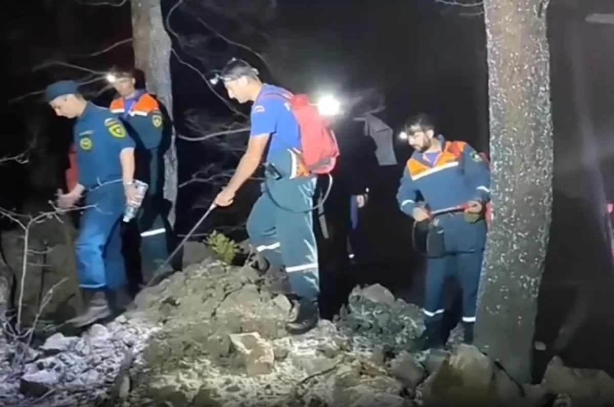 Воронкин: ремонт газопровода после пожара под Алуштой займет до 10 суток