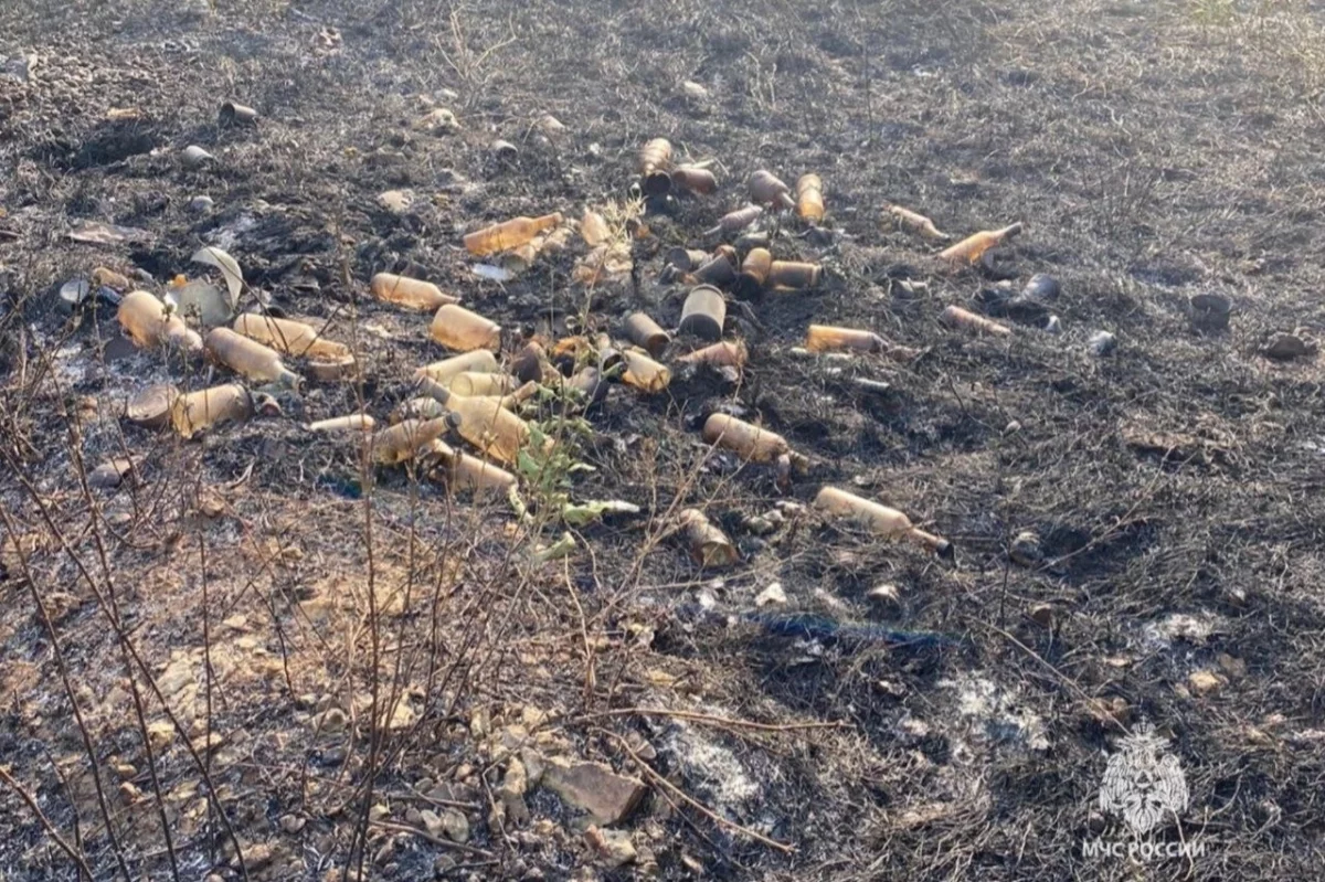 В Ростовской области из-за эффекта линзы от брошенных бутылок возник пожар
