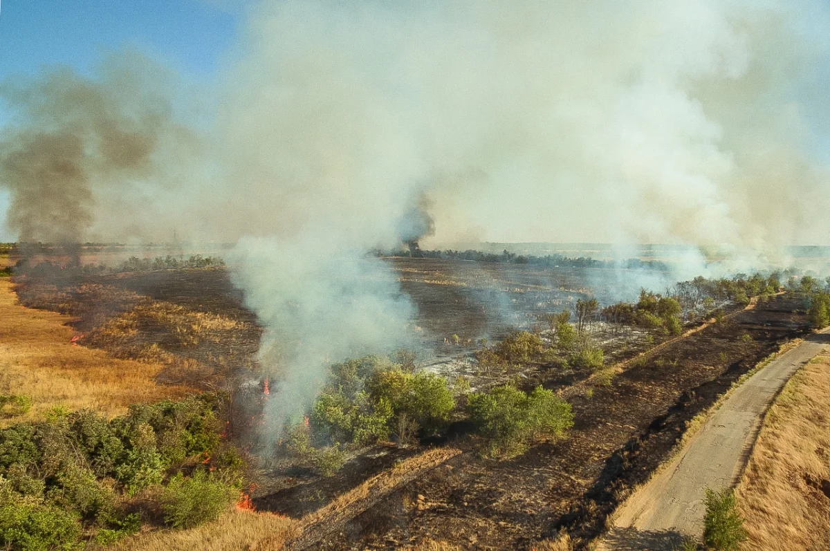 В Ростовской области за неделю произошло более сотни ландшафтных пожаров
