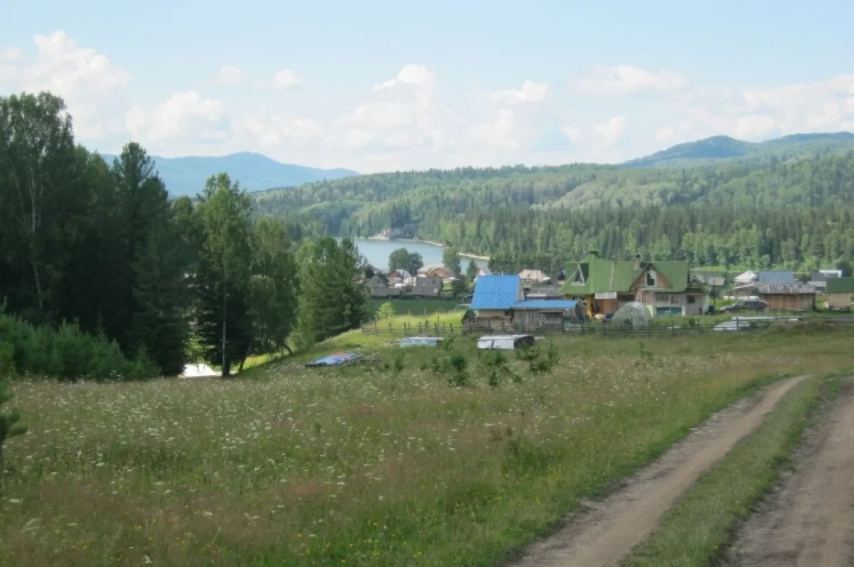 В Тюменской области более 12 тыс. семей с детьми получили земельные участки  | АиФ Тюмень