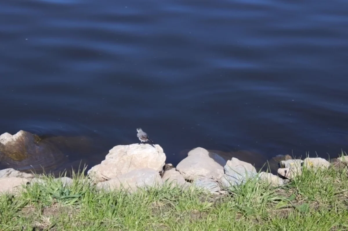 И только в реках вода заберет все