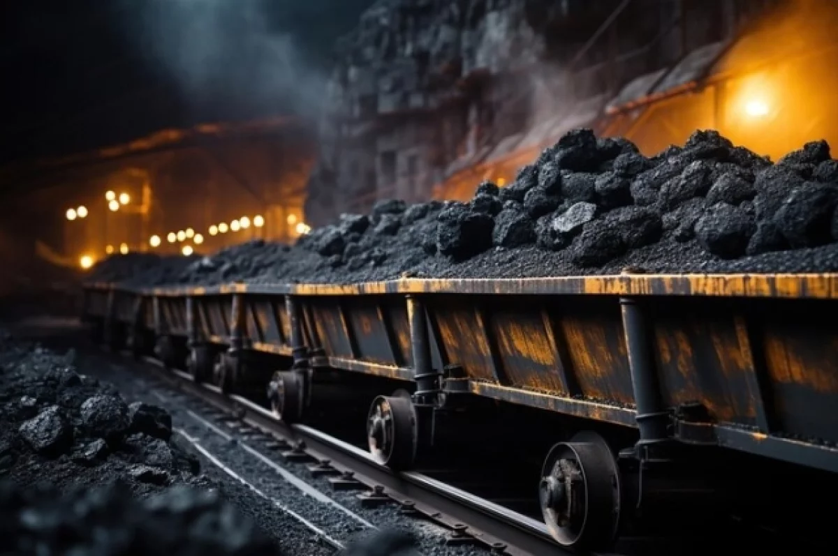 Россия возобновила поставки угля в КНР через северокорейский порт Раджин
