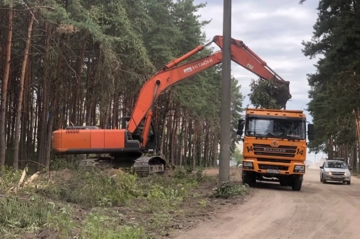 Спокойно не будет. Через проблемный воронежский лес начали строить дорогу |  АиФ Воронеж