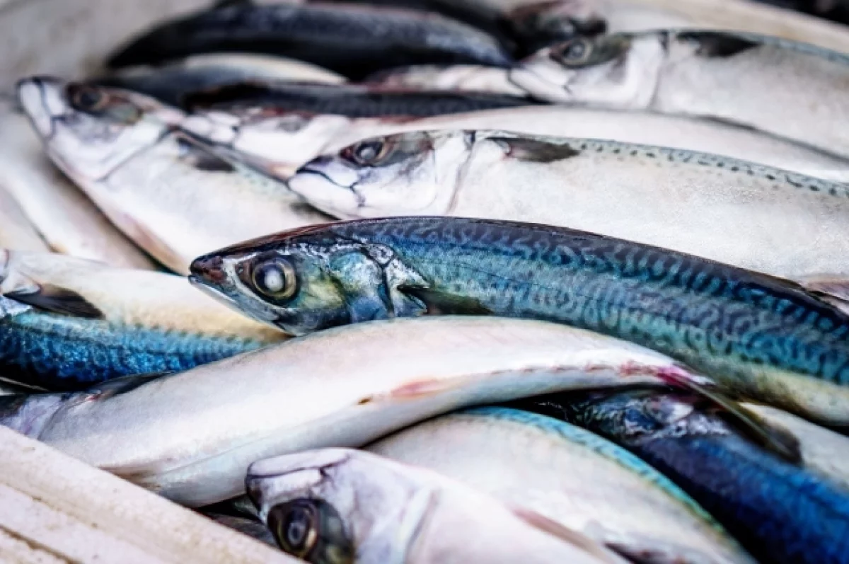 Американские сенаторы призвали запретить экомаркировку для российской рыбы
