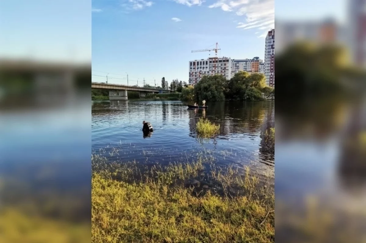 В Брянске молодой мужчина утонул в реке Десне у Московского микрорайона