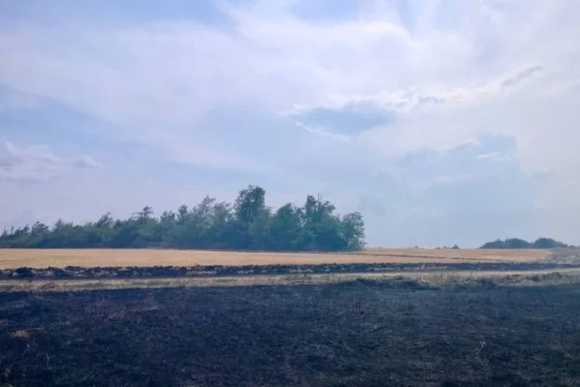 Полиция ищет поджигателей пшеничного поля на Ставрополье.