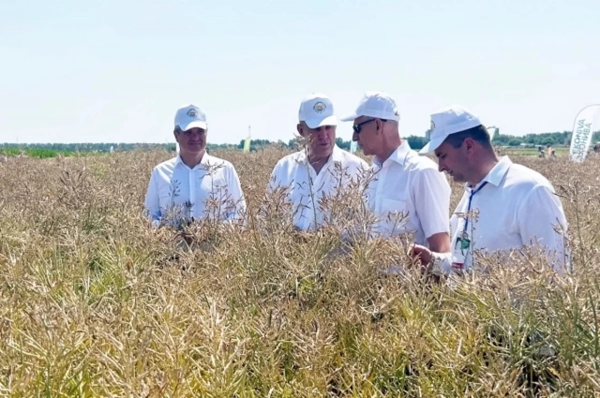 Александр Богомаз: День Брянского поля продемонстрировал успехи агропрома
