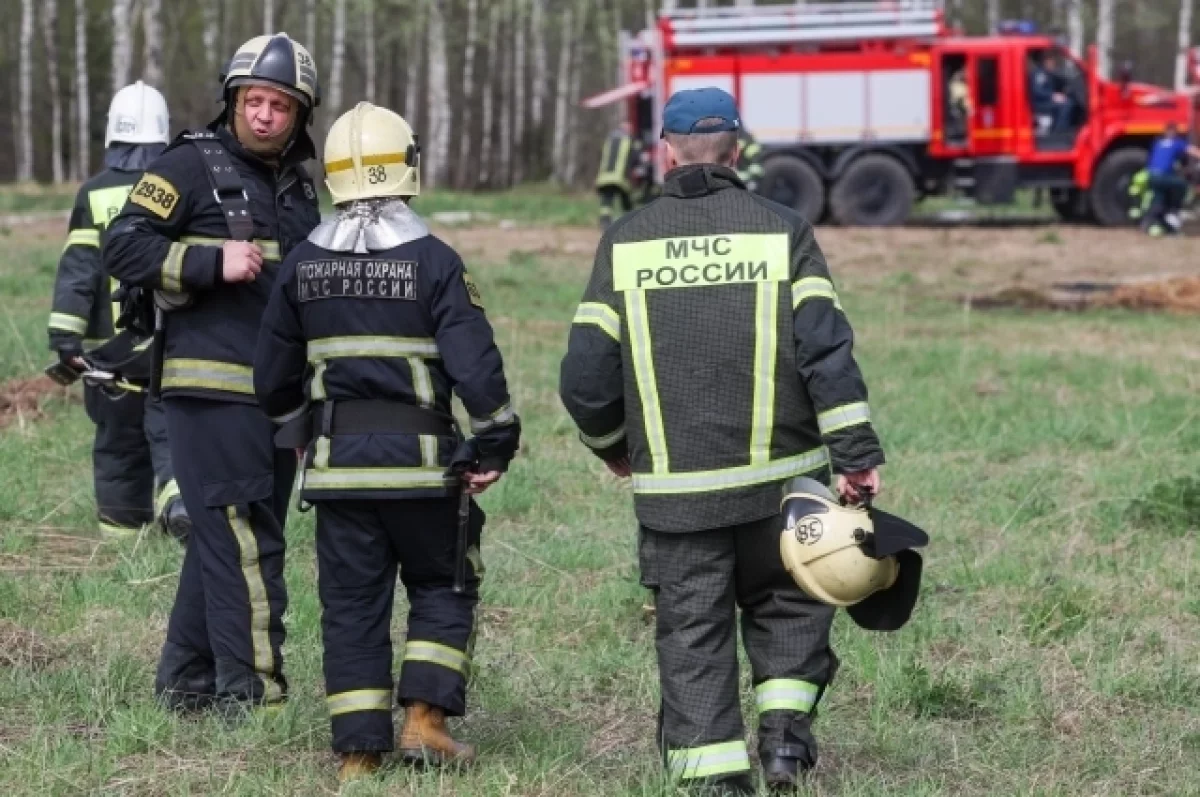 В Тверской области за сутки потушили 13 пожаров | АиФ Тверь