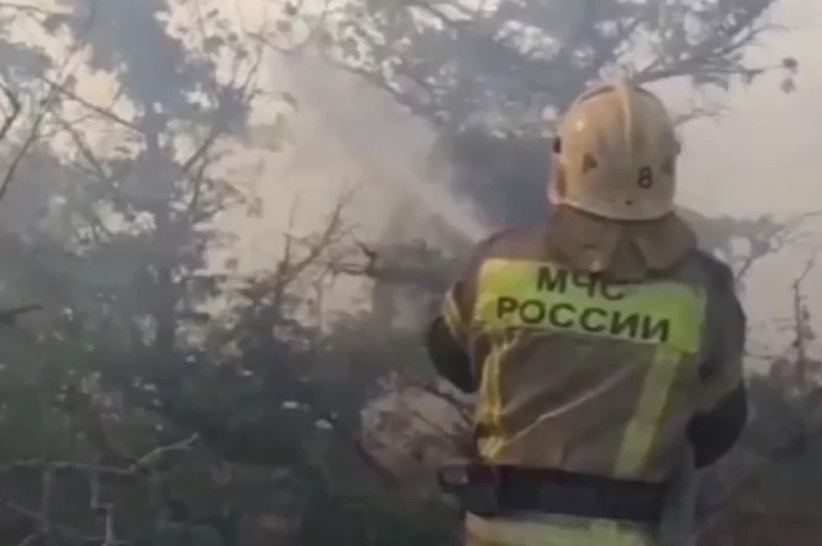 МЧС: в Краснодарском крае площадь пожара выросла до 28 гектаров