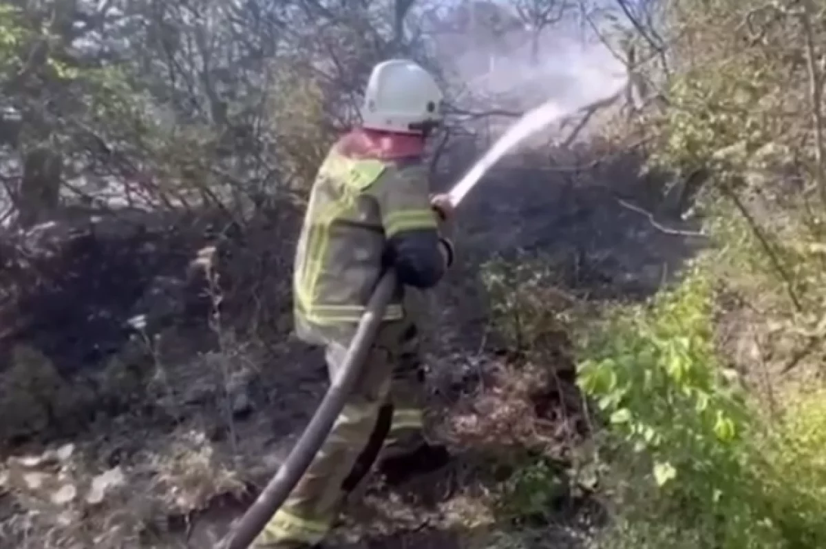 Площадь лесного пожара под Новороссийском превысила 50 гектаров