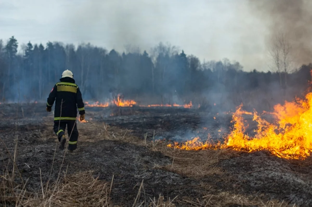 В Севастополе бушует природный пожар