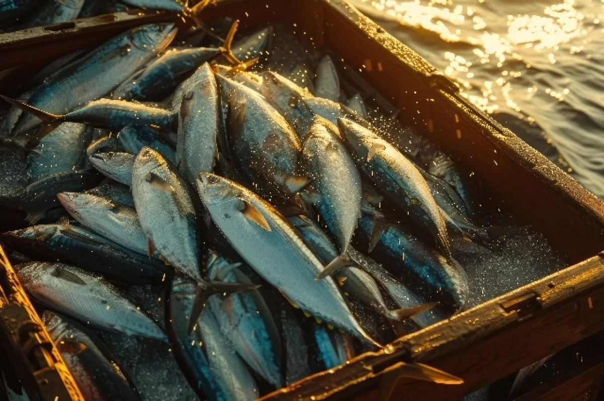 Kyodo: в Японии два года продавали лосось из РФ под видом местной продукции