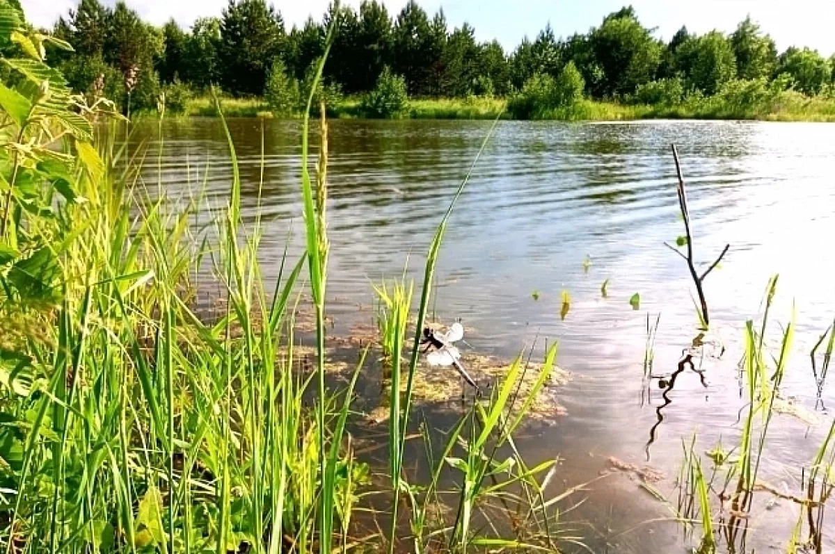В Ростовской области в августе ожидается сильная жара