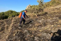 Пожар в Карадагском заповеднике тушат несколько суток.