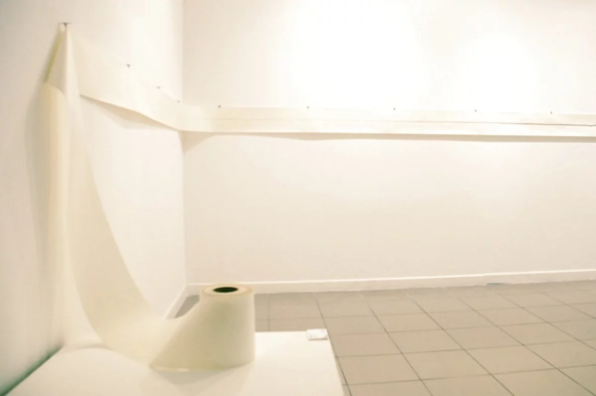 В России разработали первую в стране смываемую втулку для туалетной бумаги