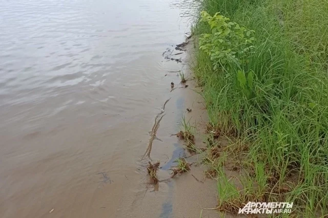 Мальчик купался в необорудованном для купания месте