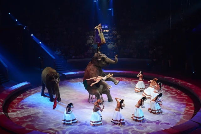 Акробаты улетели. В Москве завершился всемирный фестиваль циркачей