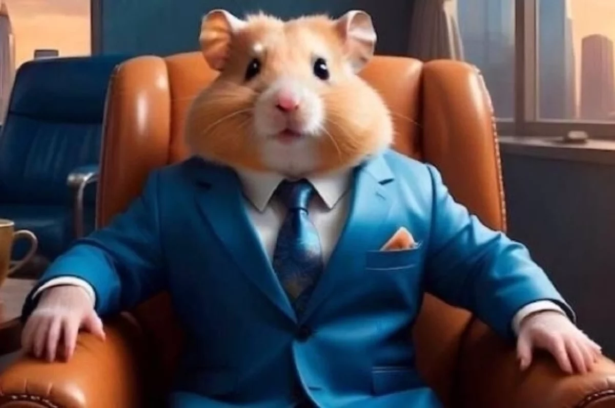 Mash: владельцем игры Hamster Kombat оказался бизнесмен из Петербурга