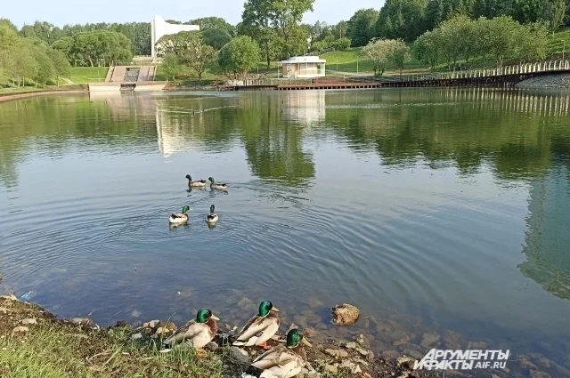 В областном центре температура днём поднимется до +23...+25 градусов, в регионе – +22... +27 градусов