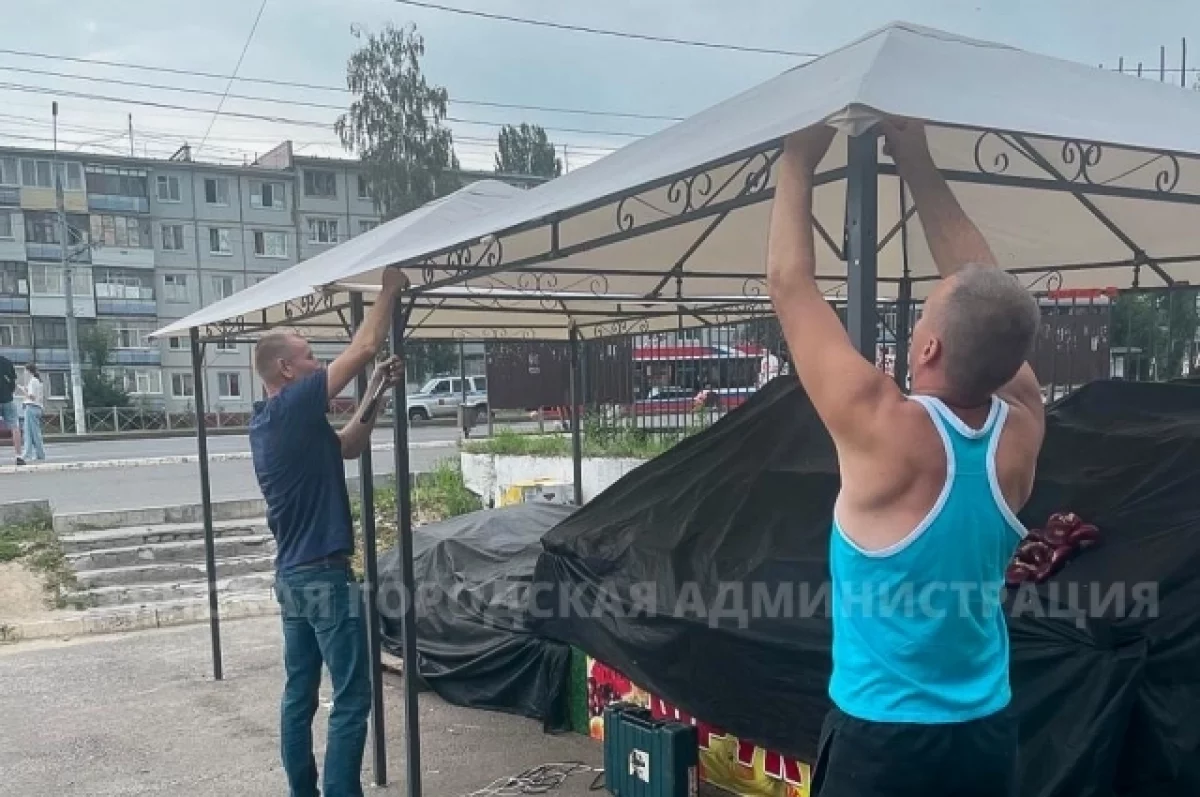 В Брянске продавец овощей заплатил 250 тыс штрафа за незаконную торговлю