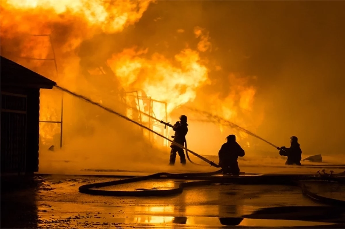 На линии огня. Московские спасатели борются с пожарами по всей России