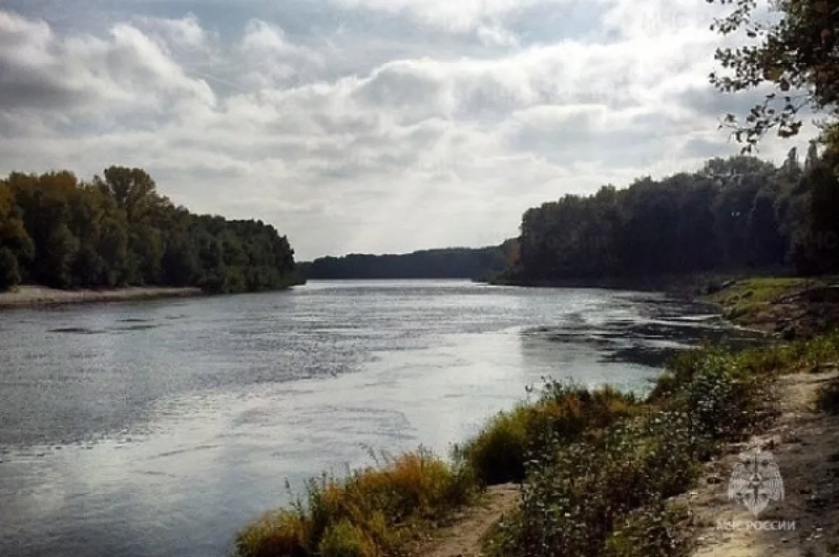 В Выгоничском районе Брянщины 57-летний мужчина утонул в реке Десне