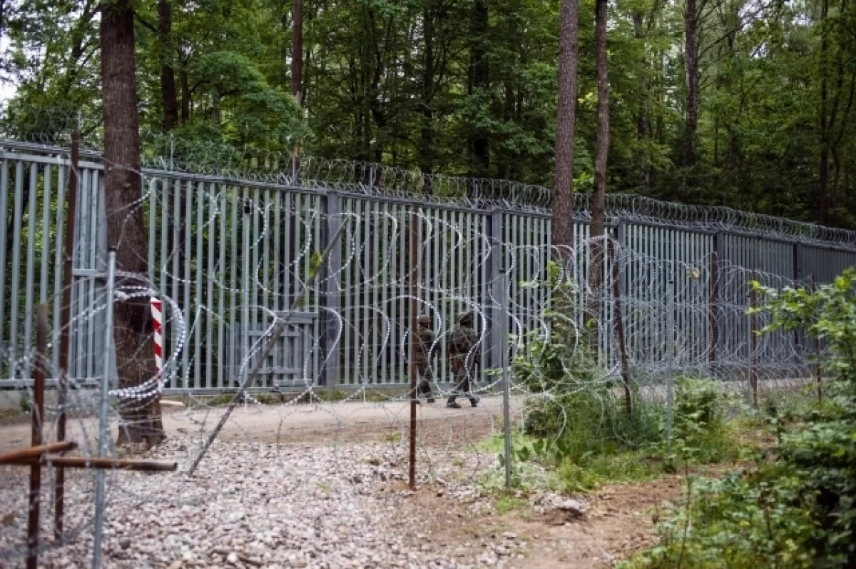Польша начала на границе с Белоруссией операцию «Безопасное Подлясье»
