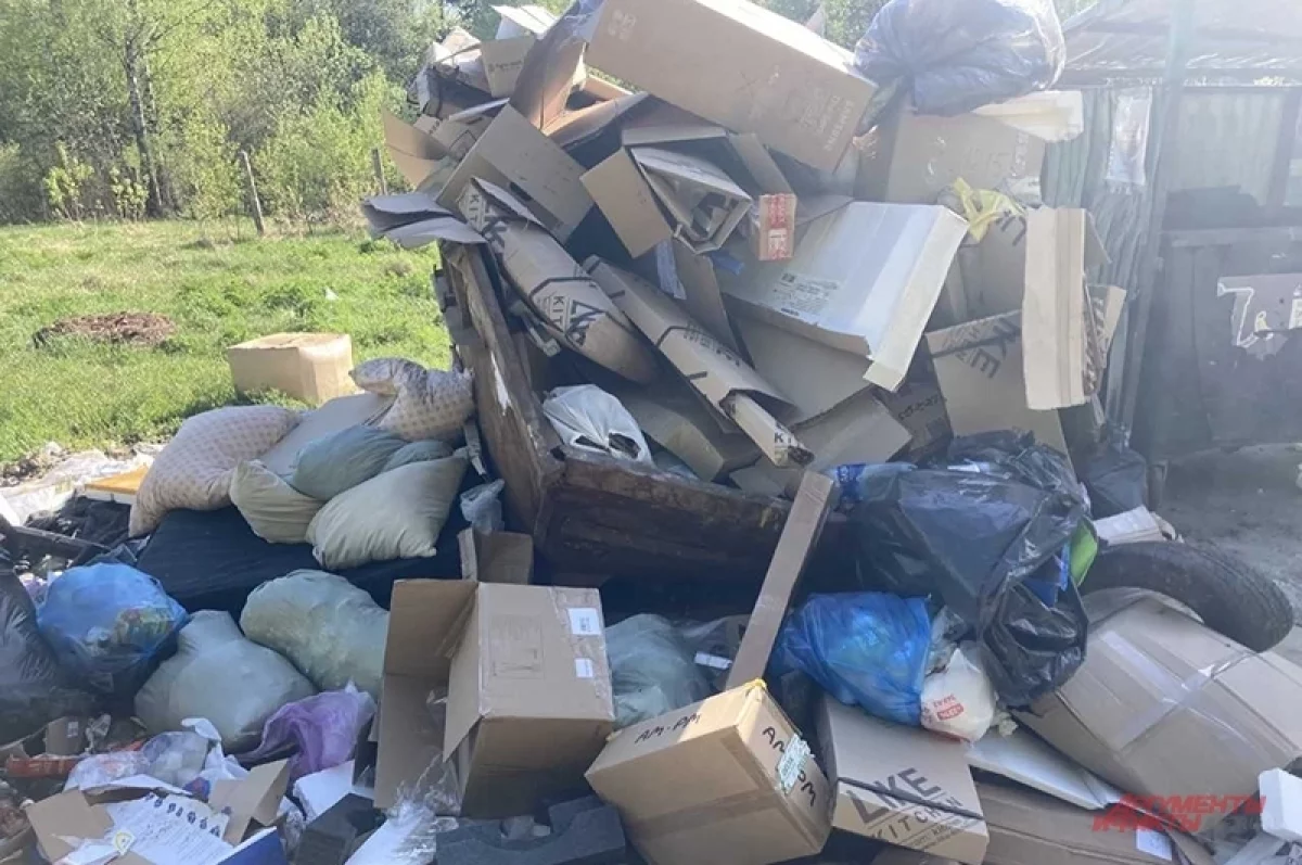 Советник губернатора Абрамченко рассказала о проблеме с мусором на Дону