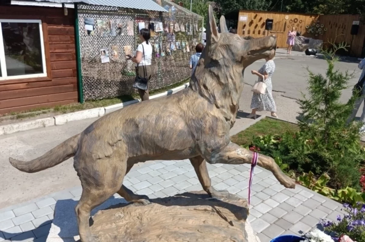 Памятник собаке, героически погибшей в зоне СВО, открыли в Барнауле