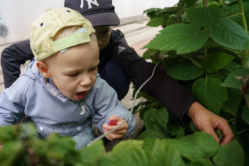 Младший Саша вместе с братьями помогает родителям по огороду.