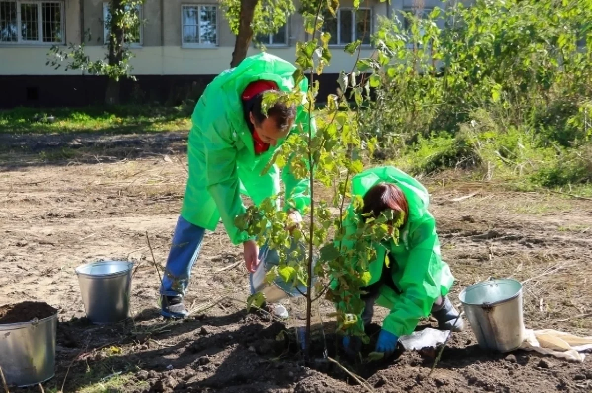 В Рубцовске открыли первую площадку для собак