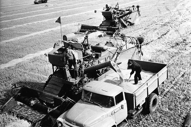 Казахская ССР. Уборка урожая зерновых на целинных землях. 1968 г.