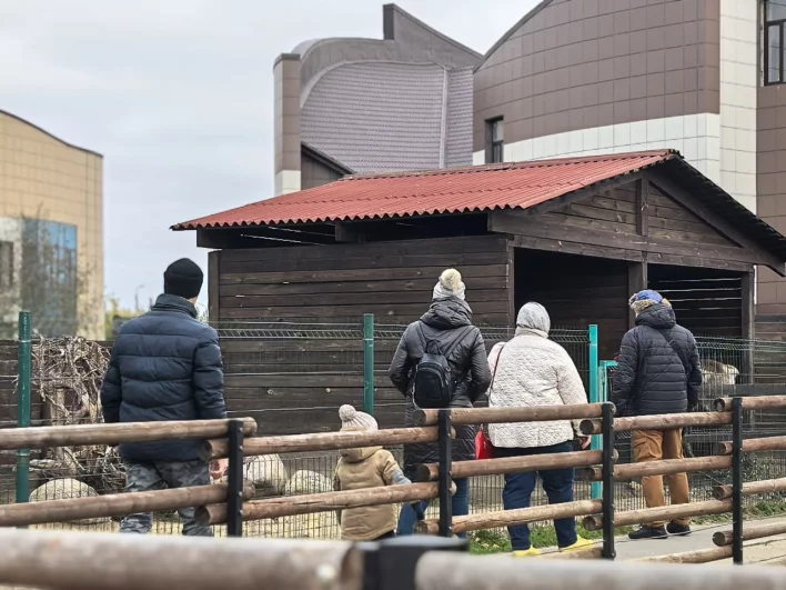 Жители Ярославля очень переживали за кенгурёнка. 