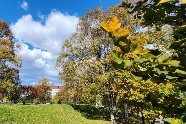 В Южно-Сахалинске днем без осадков, температура +12…+14°С.